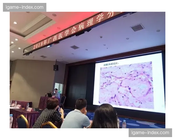 版权自动切片系统在本季正式运行 这种转变显著提升了内容在多平台的复用率